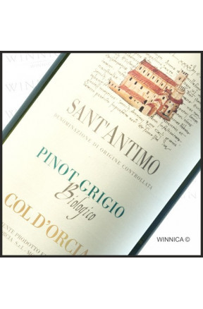 Pinot Grigio Sant'Antimo Biologico