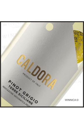 Caldora Pinot Grigio