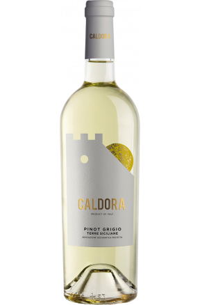 Caldora Pinot Grigio - Terre degli Osci