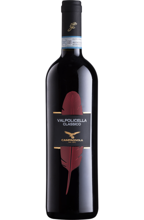 Valpolicella Classico Campagnola