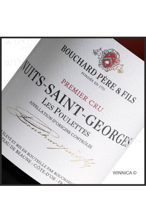 Nuits Saint Georges Les Poulettes