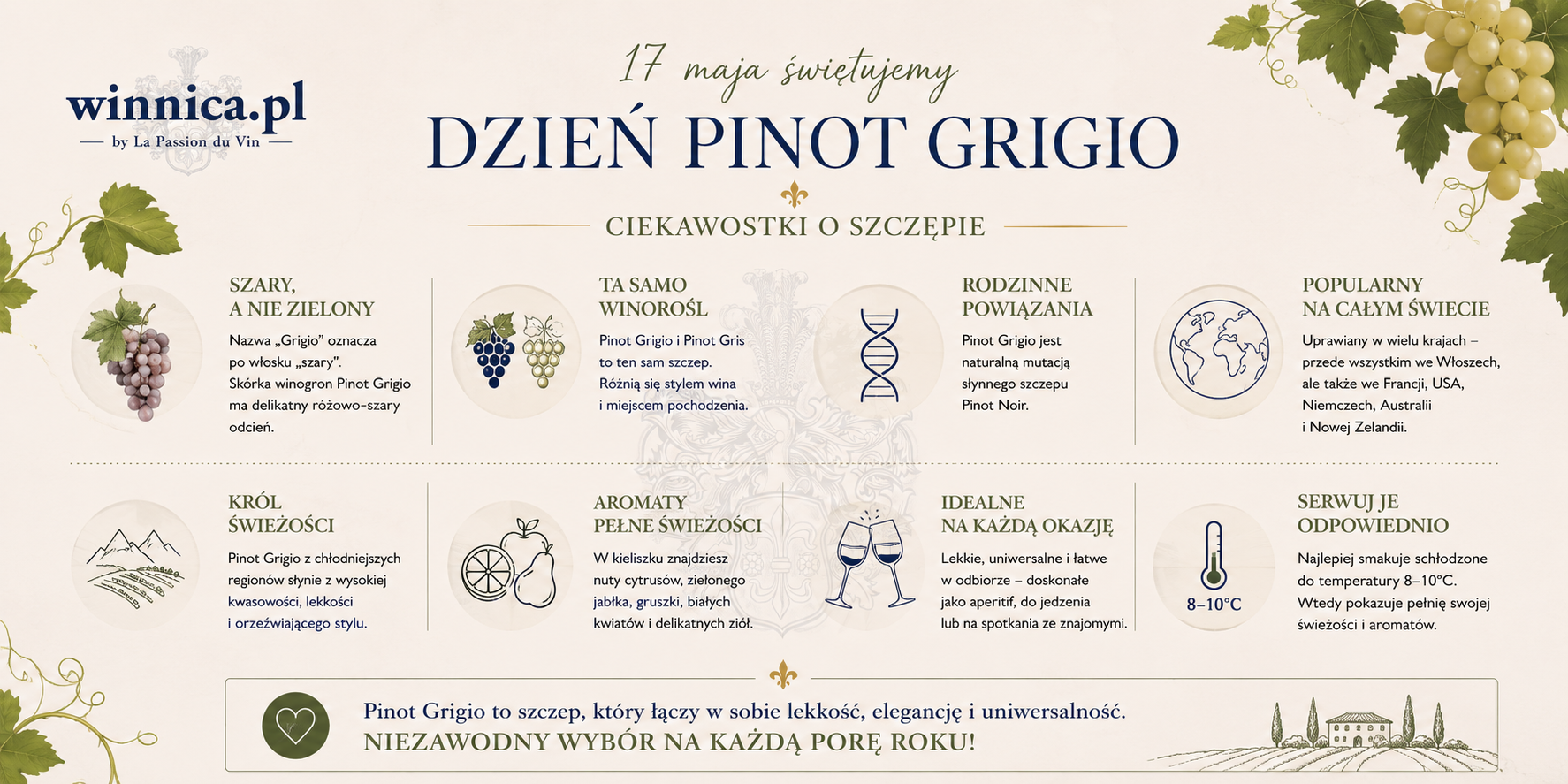 Ciekawostki o pinot grigio